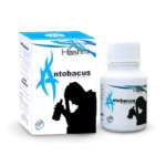 Hashmi Antobacus Capsule