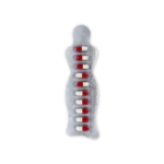Slimtop 60mg Capsule