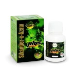 Hashmi Sikander-E-Azam Plus Capsule 300 Mg - Image 3